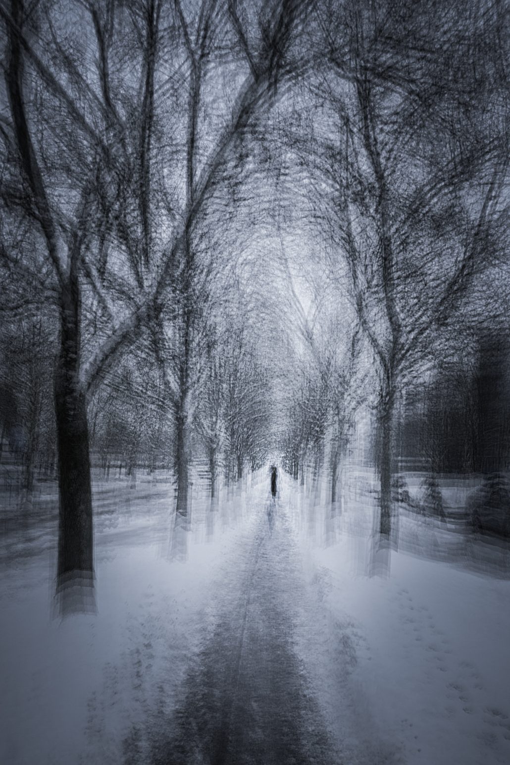 Verschneite Allee mit einsamer Figur — ICM-Fotografie